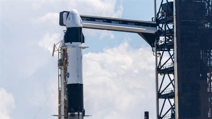 SpaceX Crew 11 rocket launch: Live updates, watch live, meet astronauts