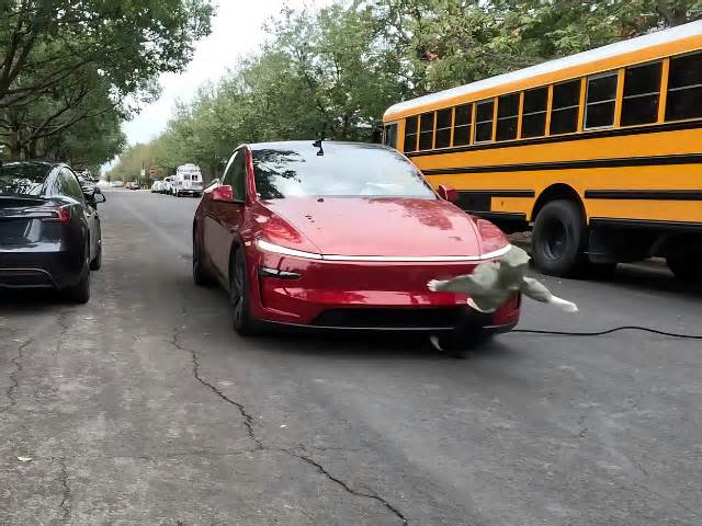 Tesla Model Y fails test in school-bus simulation, hits mannequins