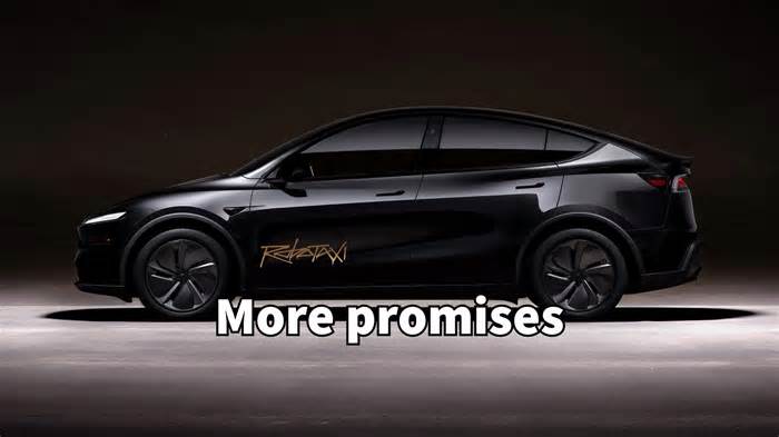 Musk Wants Tesla Robotaxis To Cover Half the US, Complains About Lack of Interest in FSD