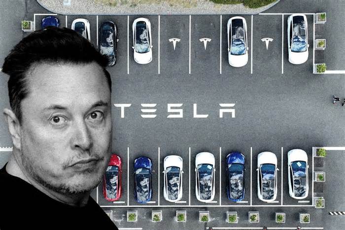 Axed Tesla staffers say the chaos will lead to ‘pretty bad’ quality only getting ‘worse’