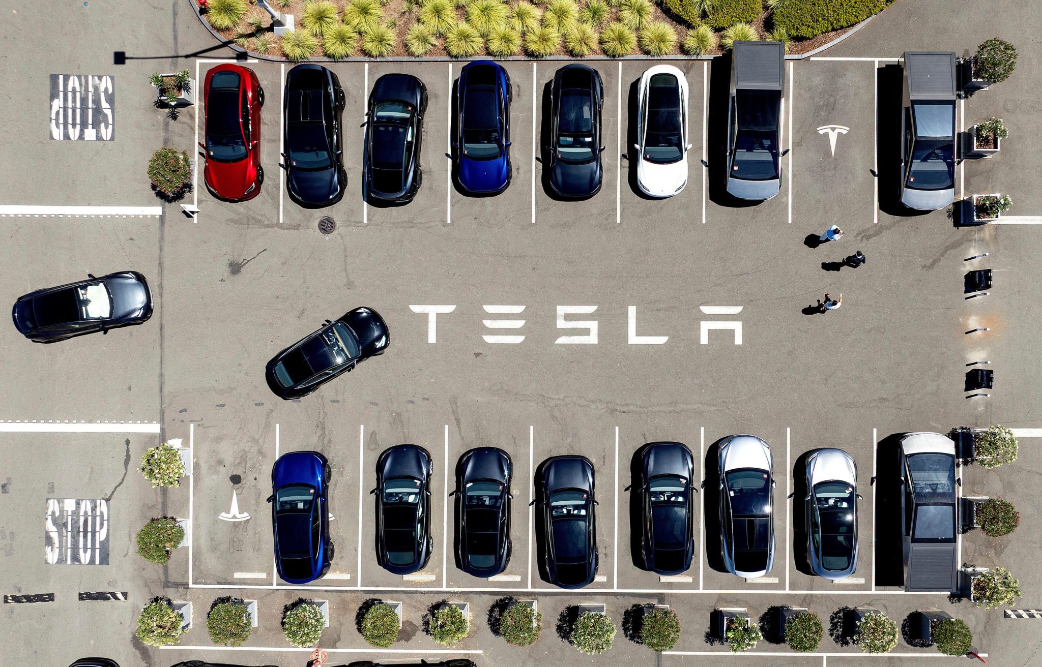 Lawsuit: Tesla design trapped a college student inside as it burst into flames
