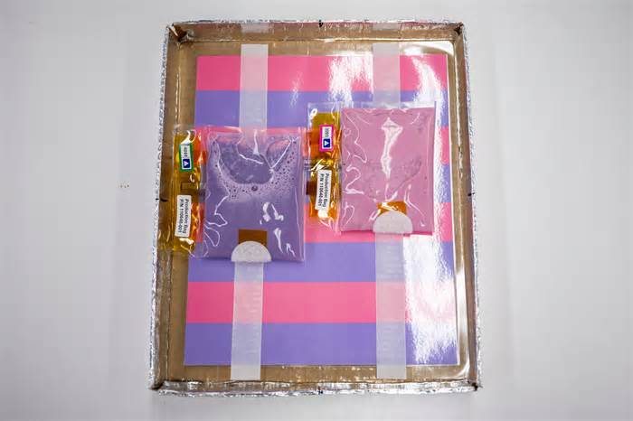 NASA's SpaceX Crew-11 mission gears up for space station research