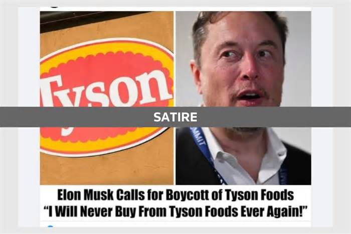 Fact Check: Fake Elon Musk call for Tyson Foods boycott stems from satirical headline