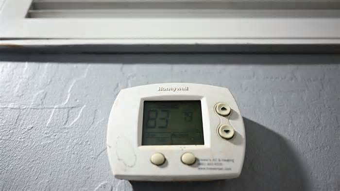 Energy demand is growing. Can virtual power plants help?