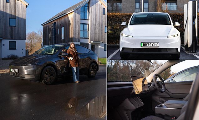 We drive the cheapest Tesla Model Y - can the new £42k 'Standard' fix the brand's reputation and reverse its sales slump?