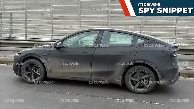 Undisguised Tesla Model Y Spied Testing