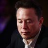 Musk's plans to colonise Mars run into a reproductive roadblock