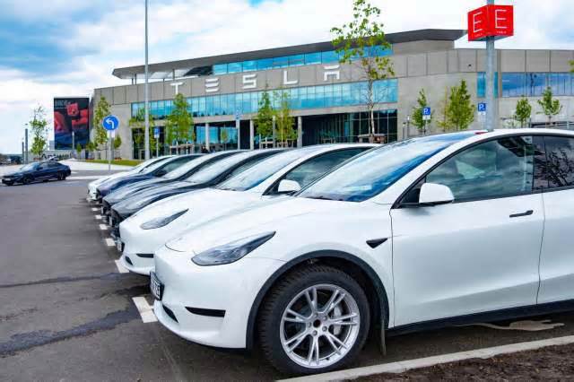 Massive Tesla factory hits jaw-dropping milestone with popular model: 'Amazing'