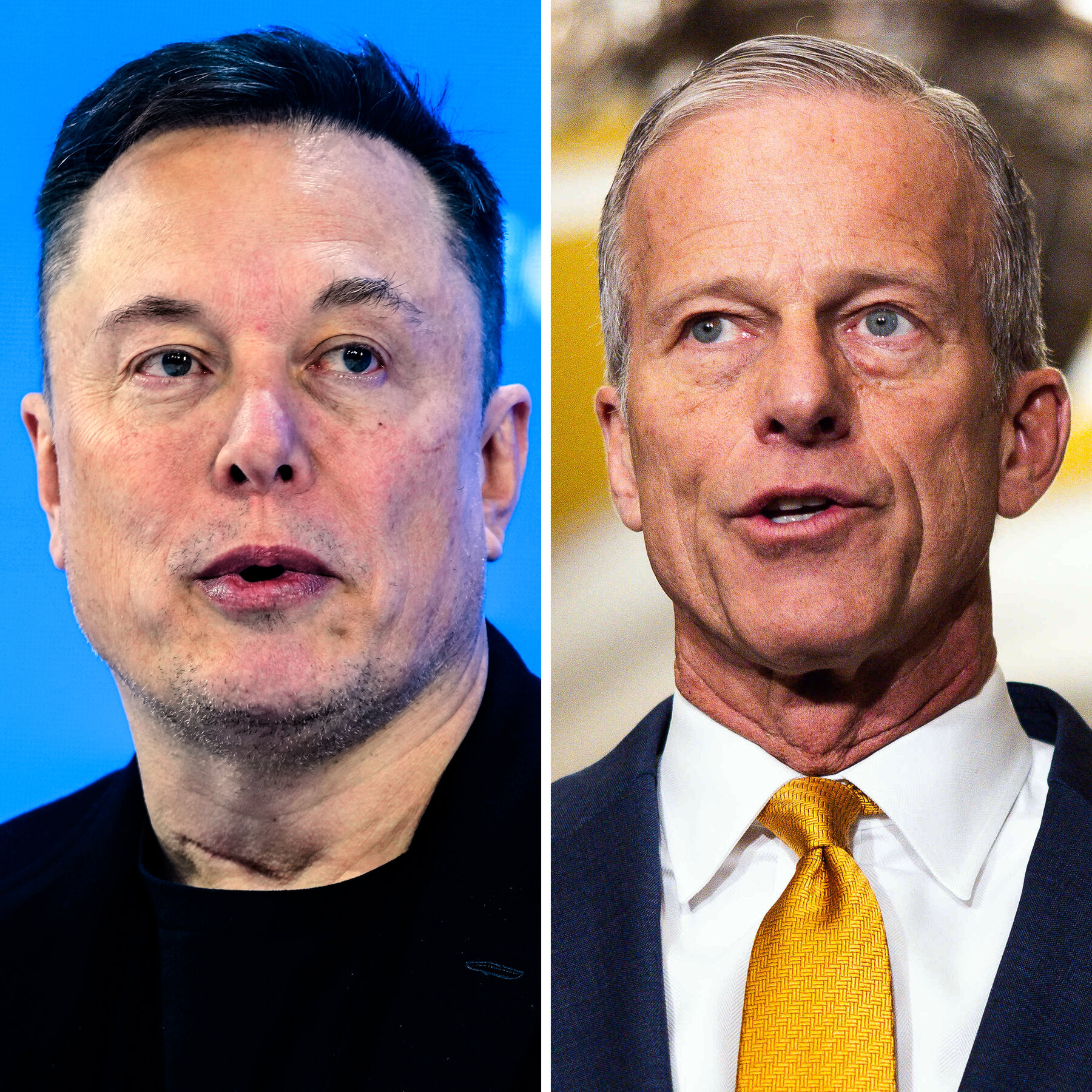 Elon Musk Whips Up Frenzy Against John Thune Over SAVE America Act