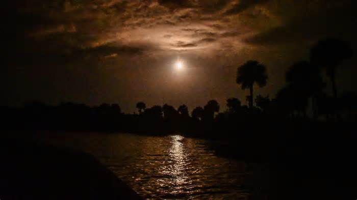Late-night SpaceX rocket launch in Florida: When is liftoff, where to see in Jacksonville