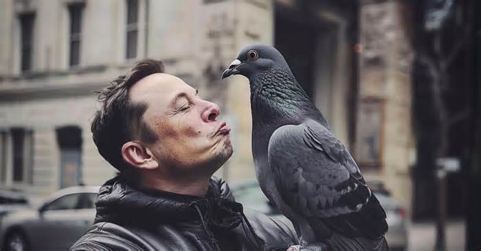 Elon Musk is a pigeon CEO, ‘he comes, sh*ts all over us, and goes’, says former Tesla manager