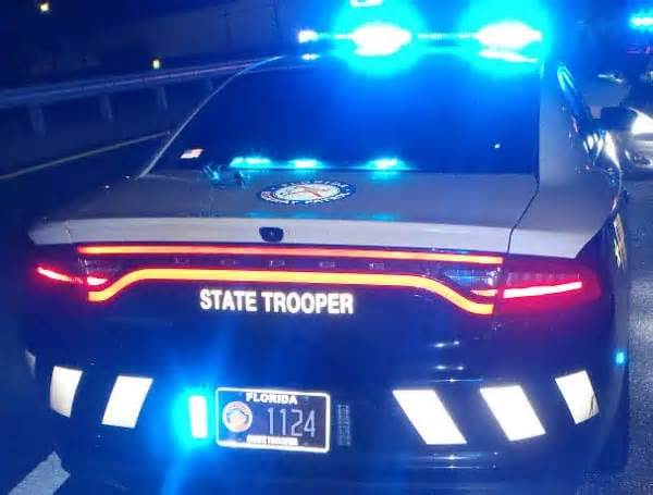Land O’ Lakes Man Killed In Fiery Crash As Tesla Slams Into Pole, Tree