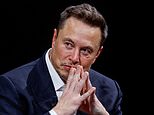 Elon Musk says 'enough is enough' as tearful woman reveals she is terrified to leave home after fatal stabbing of dog walker 'by Afghan who was granted asylum'