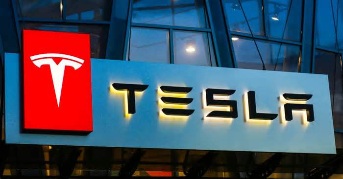 Andhra Woos Tesla For EV Manufacturing Facility: Report