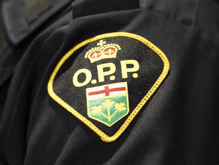 1 person dead after crash near Collingwood: OPP