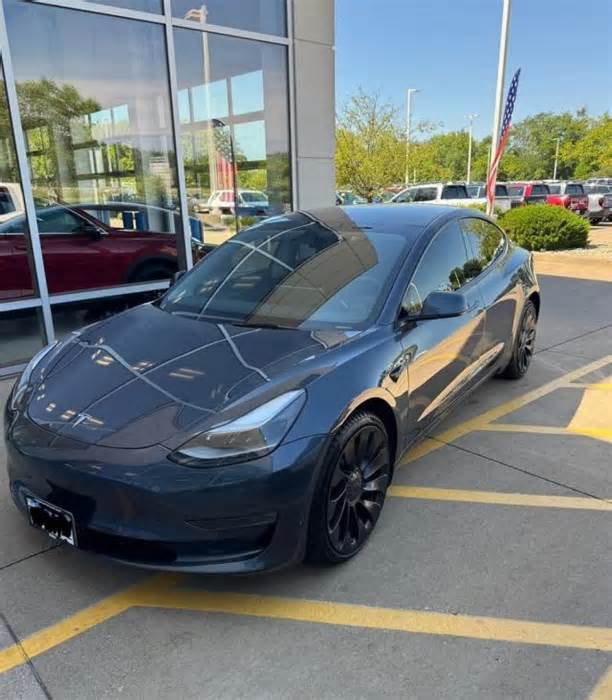 New Tesla owner shares experience after scoring incredible deal on car: 'What a steal'