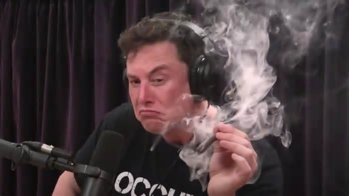 Elon Musk wants to “rewrite the entire corpus of human knowledge” for Grok