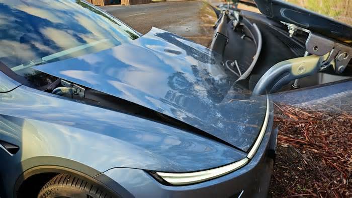 Tesla Model Y safety feature leaves more drivers out of pocket