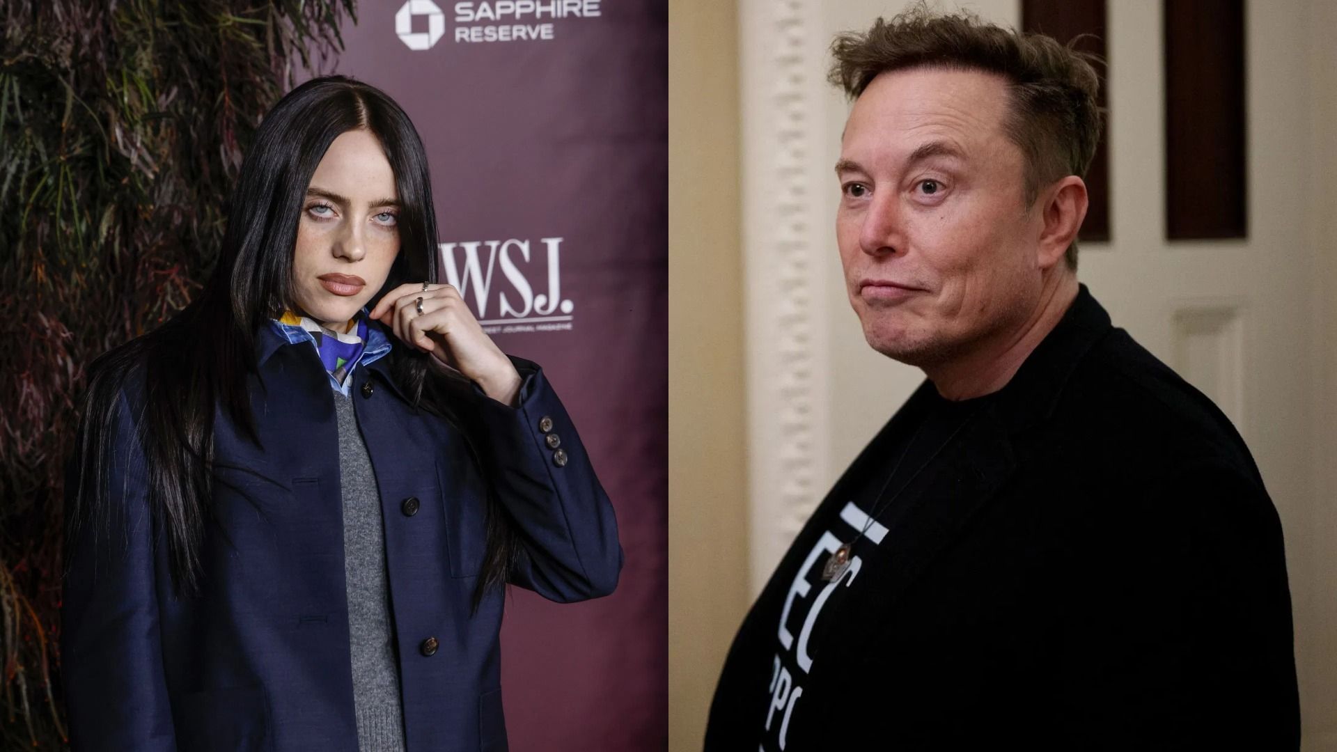 "F*cking pathetic p*ssy b*tch coward": Billie Eilish slams Elon Musk over viral Tesla contract that could make him a trillionaire