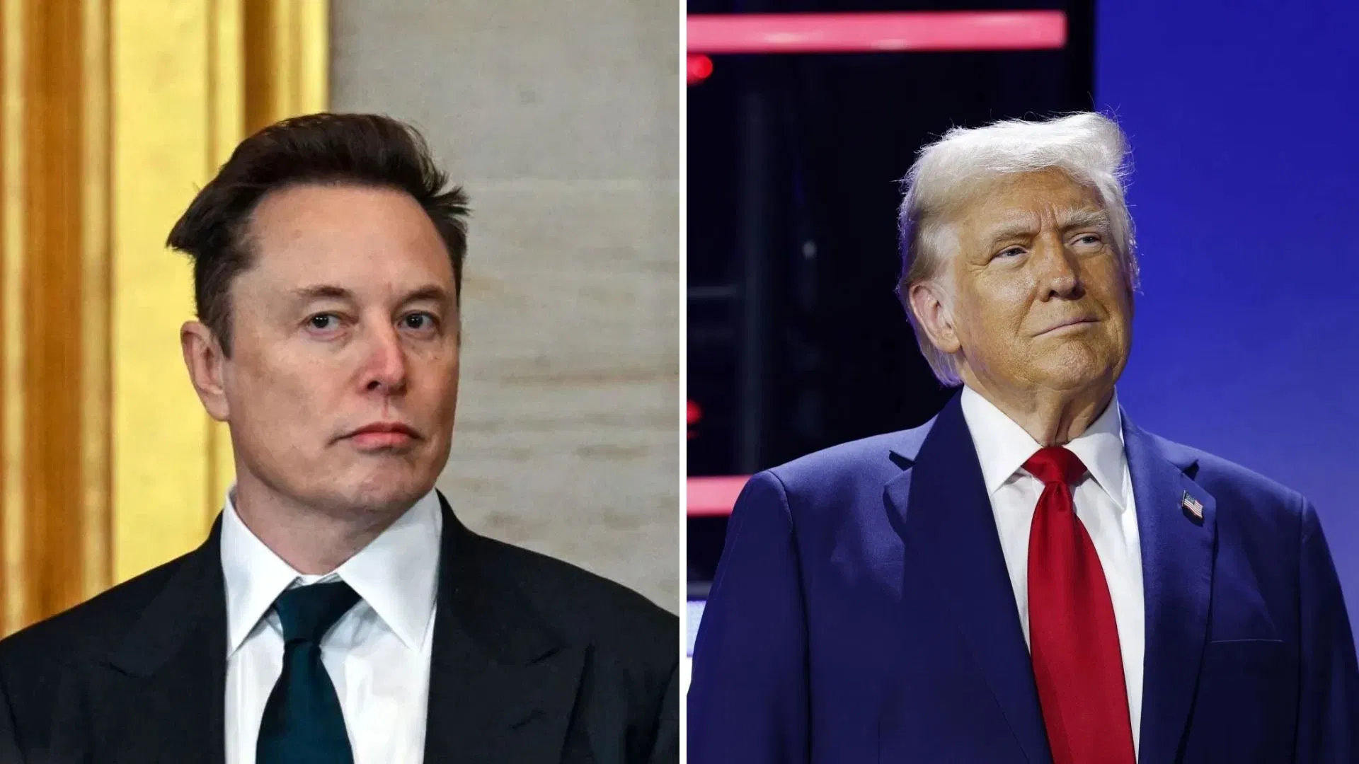 "Didn’t go full Donald Trump - we’d say half": Perez Hilton responds after Elon Musk denies Epstein island visit reports