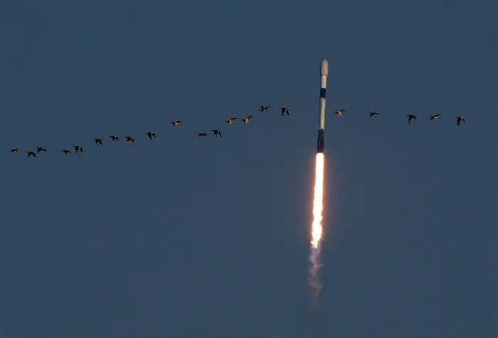SpaceX Starlink rocket launch Wednesday: Where to watch from Daytona, New Smyrna Beach, Oak Hill