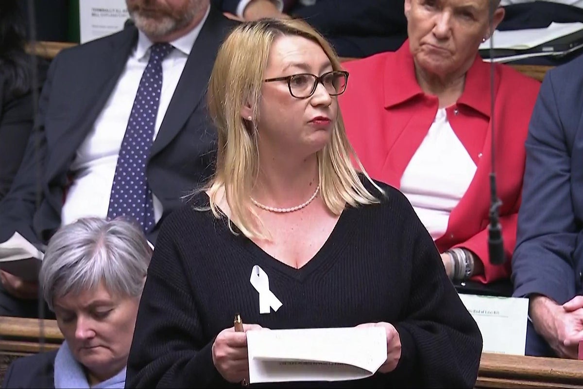More than 100 campaigners and organisations back MP suing Elon Musk’s xAI over deepfake images of her
