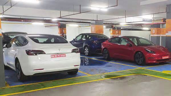 Tesla Model 3 and Model Y spotted without camouflage