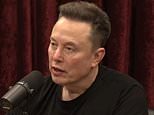What Elon Musk would look like without weight-loss drugs and rumored 'hair transplant'