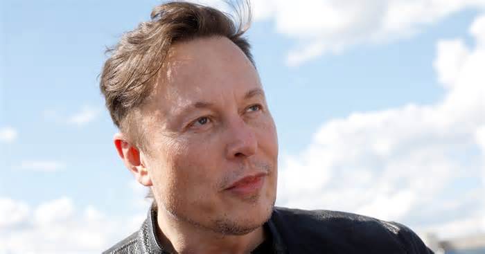 Who are Elon Musk's 11 children?