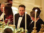 Elon Musk returns to White House for Trump's candlelit dinner with Saudi prince