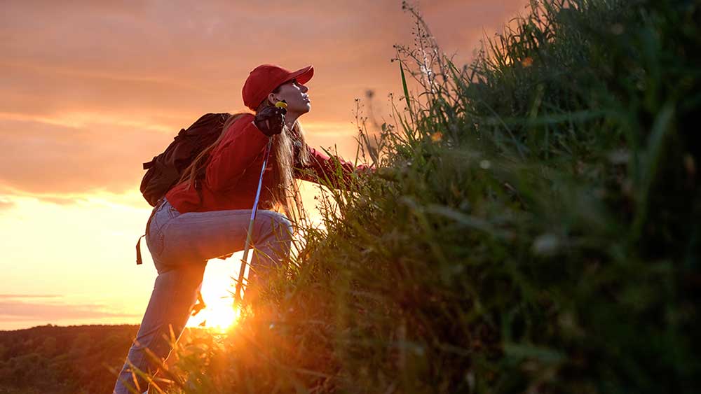 Dow Jones Futures: Market Rally Takes Big Step, Janet Yellen Says Fed Rate Hikes A 'Plus'; Tesla Model S Plaid+ Cancelled