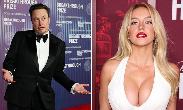 Elon Musk is blasted on social media over 'pathetic' comments about Sydney Sweeney's breasts