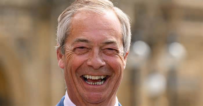 Nigel Farage has advantage Elon Musk didn't in pursuing DOGE-style initiative